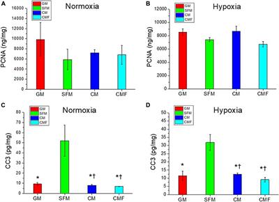 Identification and characterization of stem cell secretome-based recombinant proteins for wound healing applications